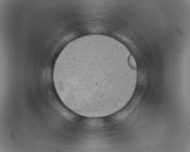X0000111430670200908241122