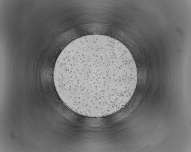 X0000111430671200908241122