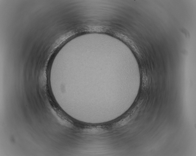 X0000111430674200908241122