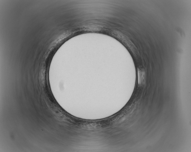 X0000111430675200908241122