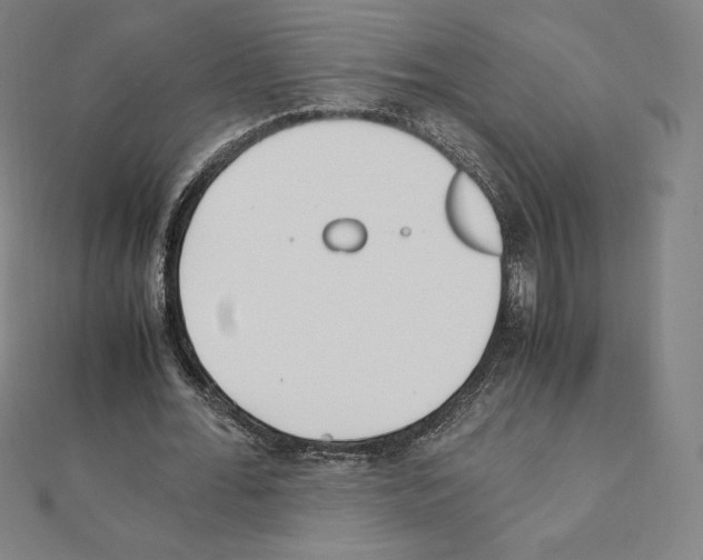 X0000111430676200908241122