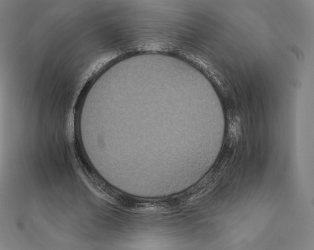 X0000111430678200908241122