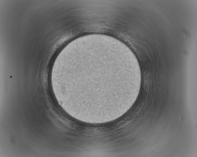 X0000111430679200908241122