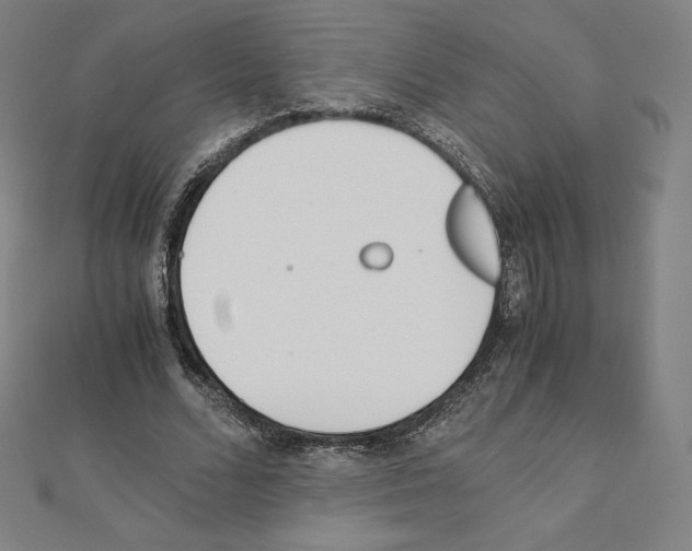 X0000111430680200908241122