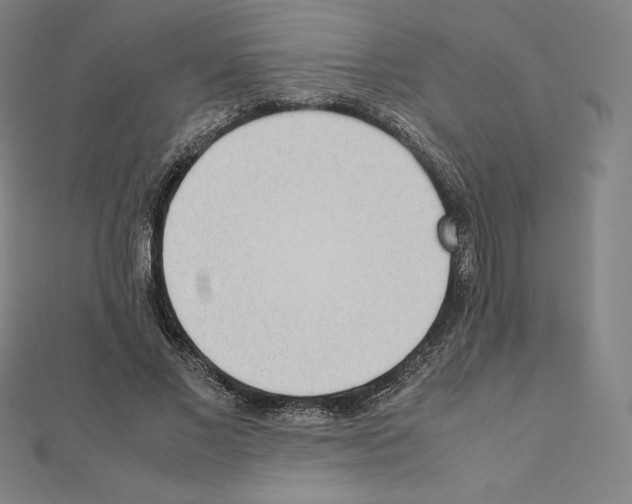 X0000111430685200908241122