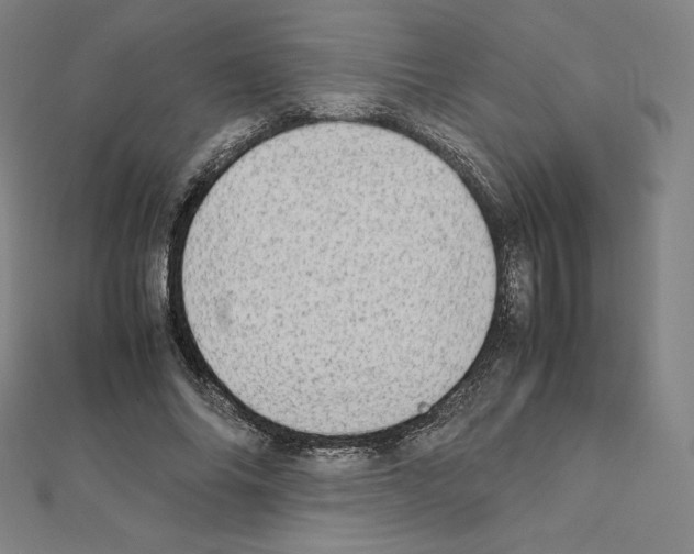 X0000111430686200908241122