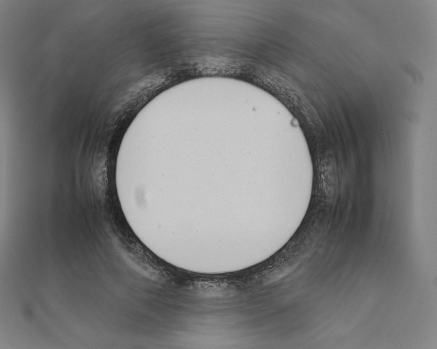X0000111430690200908241122