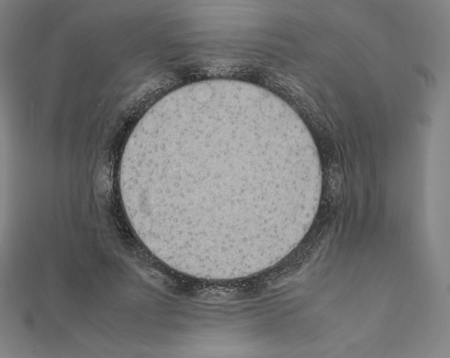 X0000111430691200908241122