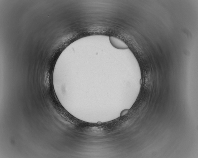 X0000111430692200908241122