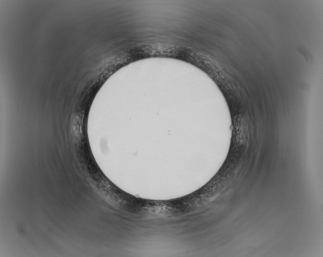 X0000111430695200908241122