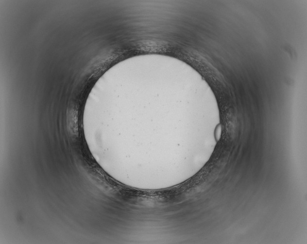 X0000111430696200908241122