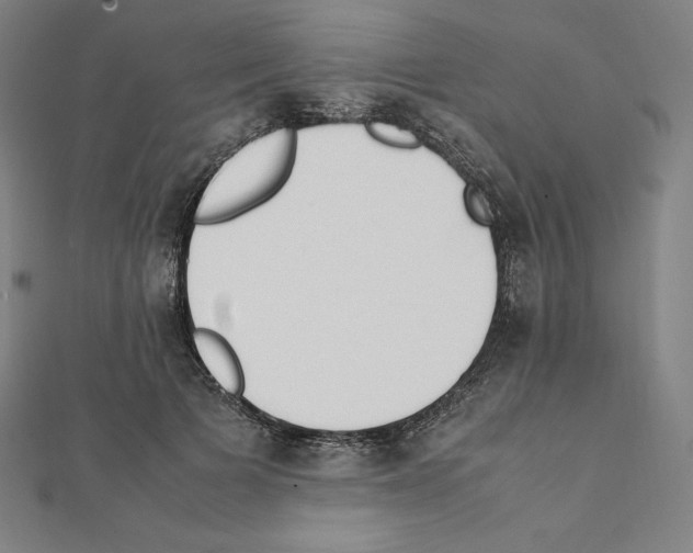 X0000111430697200908241122