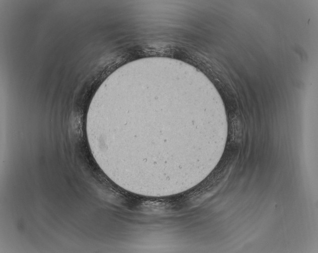 X0000111430699200908241121