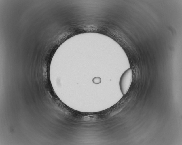 X0000111430700200908241121
