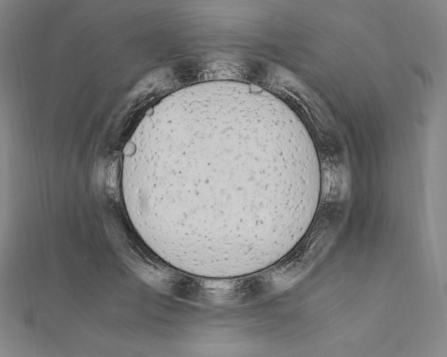 X0000111430701200908241121