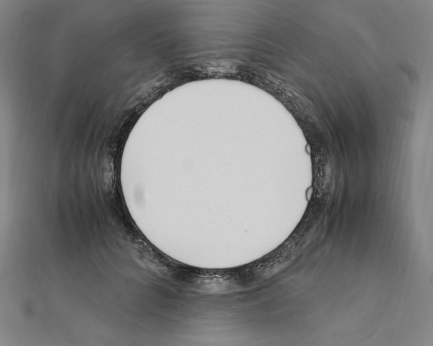 X0000111430704200908241121