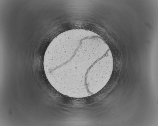 X0000111430707200908241121