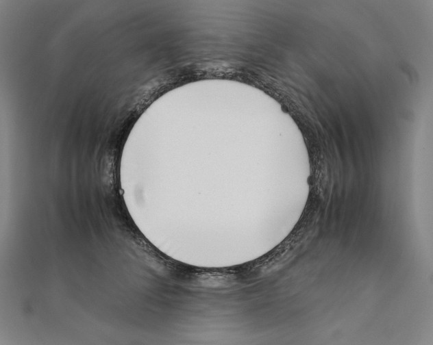 X0000111430708200908241121