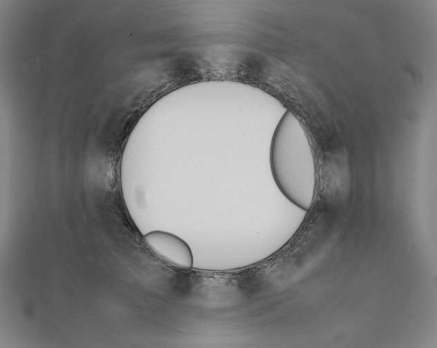 X0000111430709200908241121