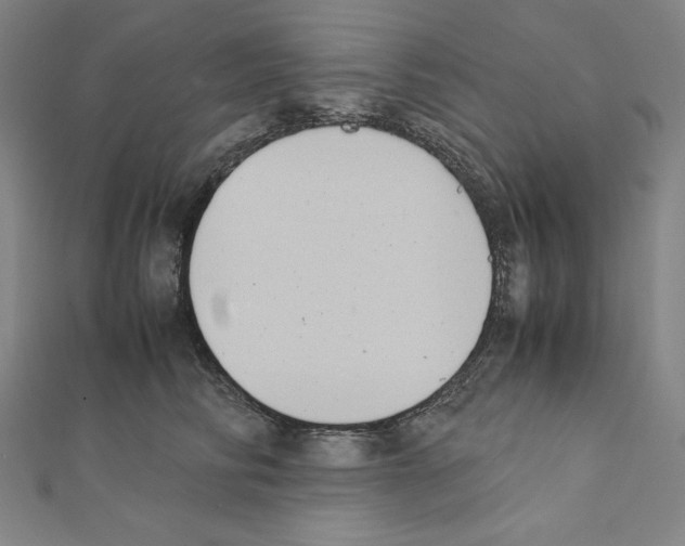 X0000111430710200908241121