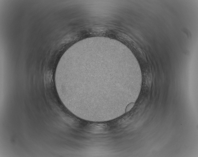 X0000111430711200908241121