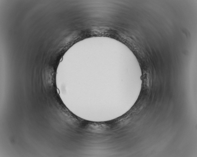X0000111430712200908241121