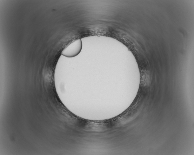 X0000111430713200908241121