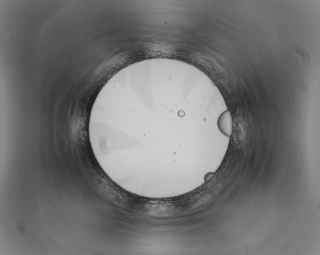 X0000111430714200908241121