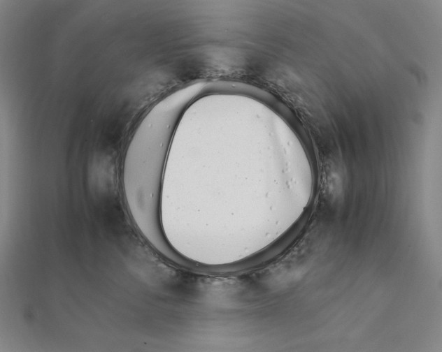 X0000111430716200908241121