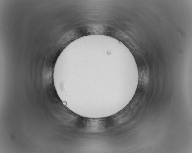 X0000111430717200908241121