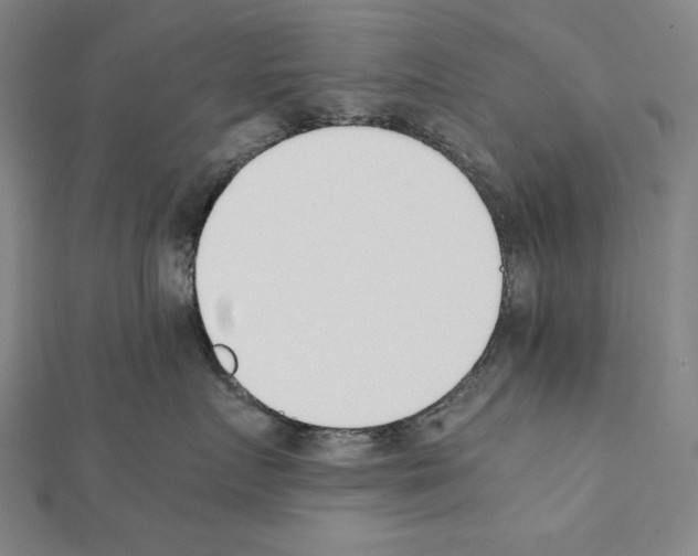 X0000111430719200908241121