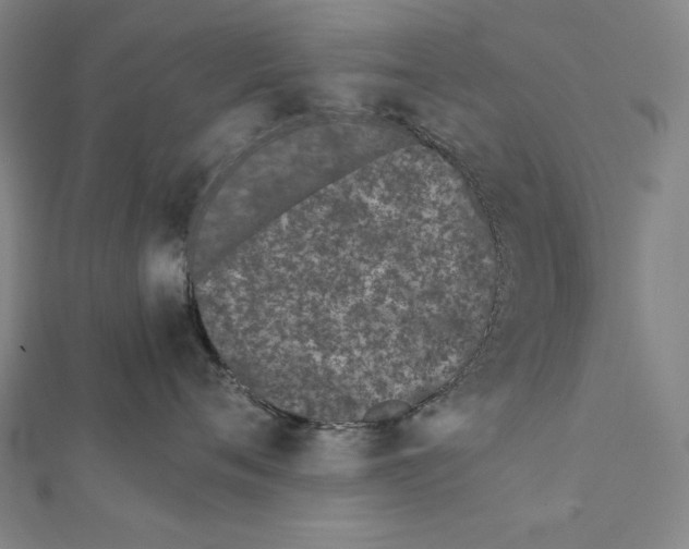 X0000111430720200908241121