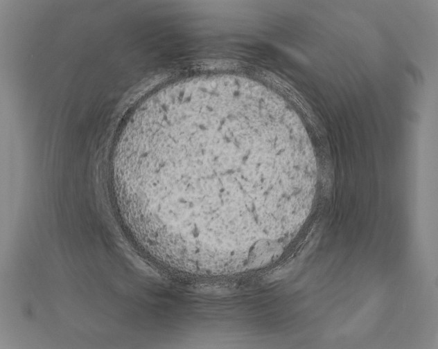 X0000111430721200908241120