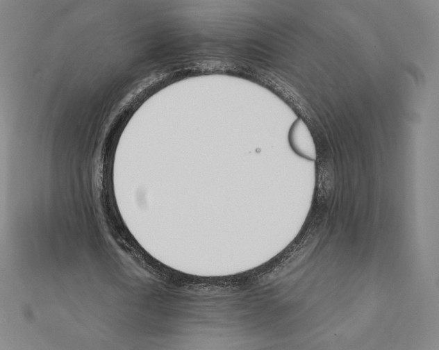 X0000111430722200908241120