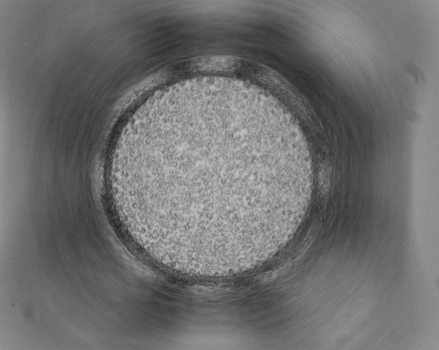 X0000111430725200908241120