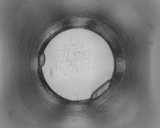 X0000111430726200908241120
