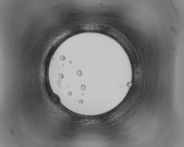 X0000111430727200908241121