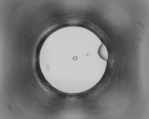 X0000111430728200908241121