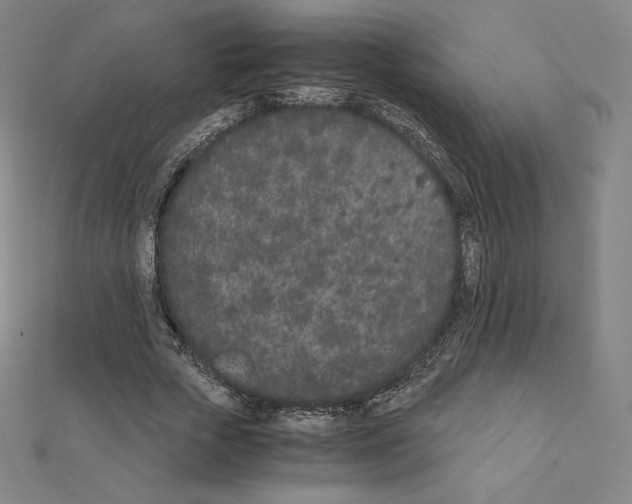 X0000111430729200908241121