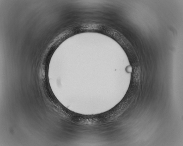 X0000111430731200908241121