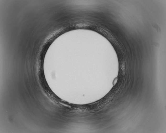 X0000111430732200908241121