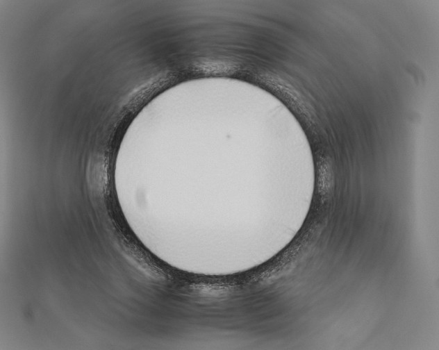 X0000111430733200908241121