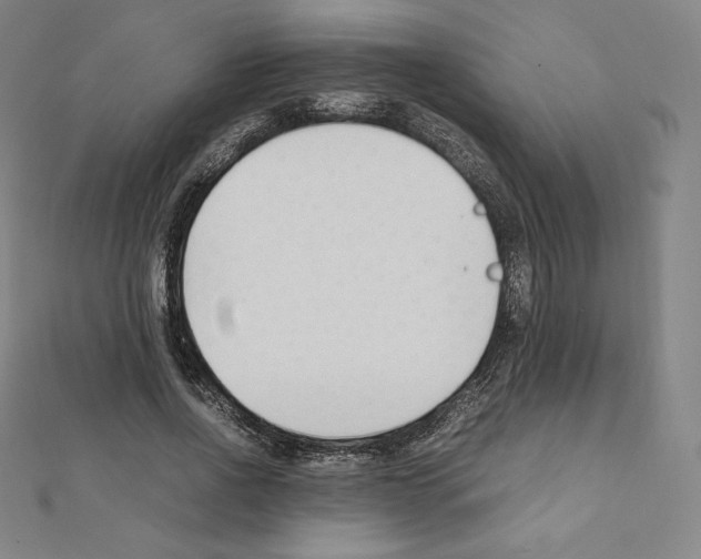 X0000111430734200908241121