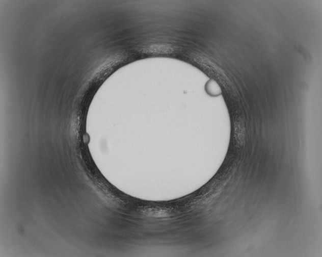 X0000111430735200908241121