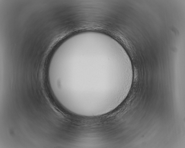 X0000111430736200908241121