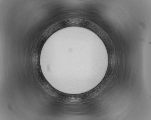 X0000111430737200908241121