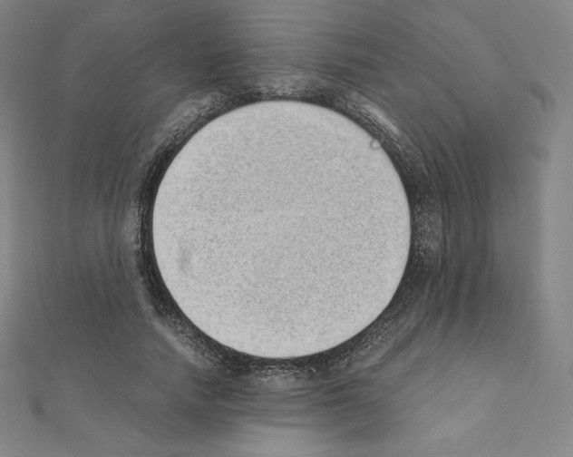 X0000111430738200908241121