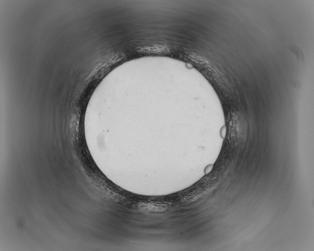 X0000111430739200908241121