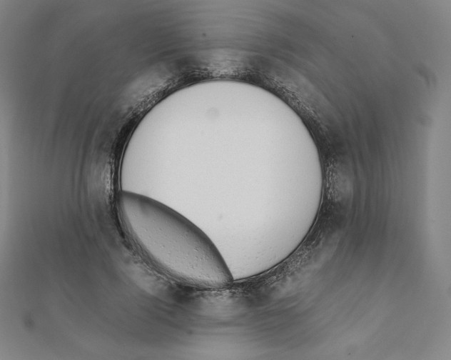 X0000111430740200908241121