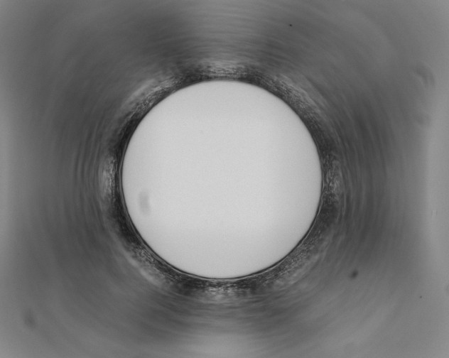 X0000111430744200908241121